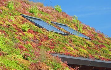 Tumby Woodside living roof systems