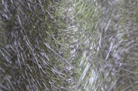 Tumby Woodside fibreglass roof work